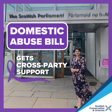 Domestic Abuse Prevention Bill cross-party support